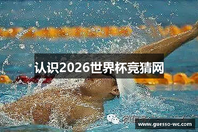 认识2026世界杯竞猜网